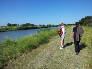 randonnée sur la boucle des terres de Camargue du Gard randonnée pédestre ou V.T.T. qui longe le canal du Rhône à Sète