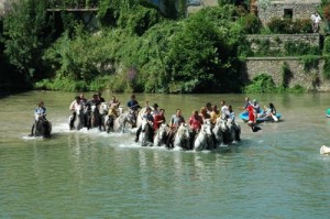 la Gaze : tradition en Camargue